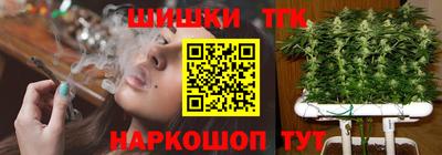 дмт Пушкино